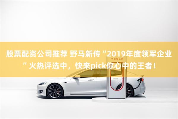 股票配资公司推荐 野马新传“2019年度领军企业”火热评选中，快来pick你心中的王者！
