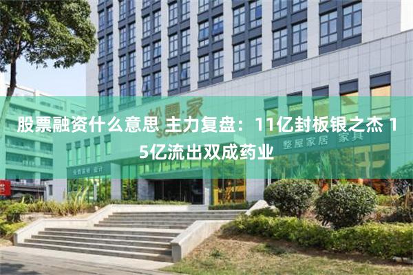 股票融资什么意思 主力复盘：11亿封板银之杰 15亿流出双成药业