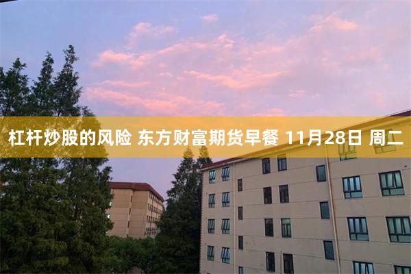 杠杆炒股的风险 东方财富期货早餐 11月28日 周二