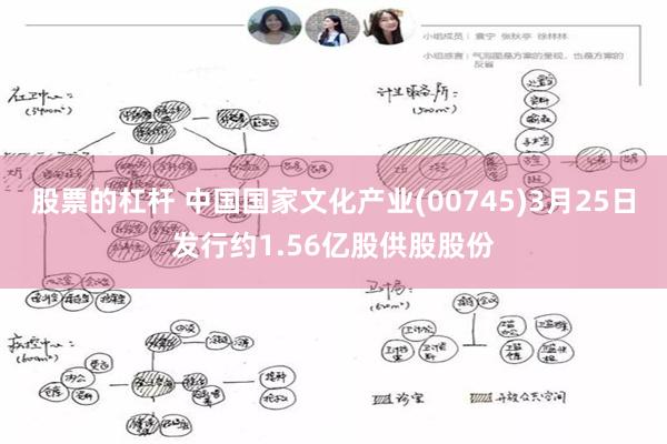 股票的杠杆 中国国家文化产业(00745)3月25日发行约1.56亿股供股股份