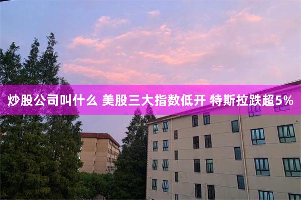 炒股公司叫什么 美股三大指数低开 特斯拉跌超5%