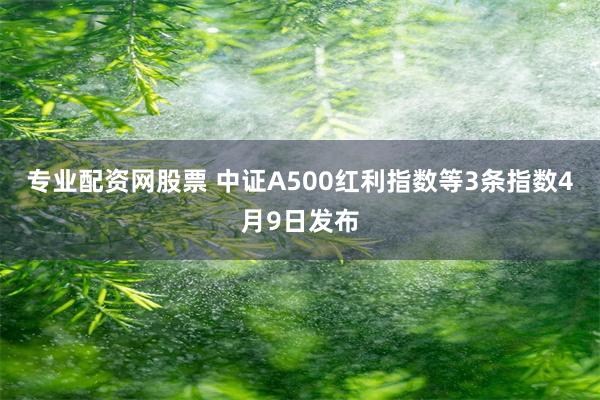 专业配资网股票 中证A500红利指数等3条指数4月9日发布