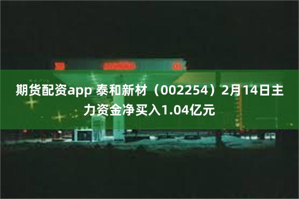 期货配资app 泰和新材（002254）2月14日主力资金净买入1.04亿元