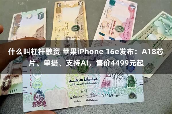 什么叫杠杆融资 苹果iPhone 16e发布：A18芯片、单摄、支持AI，售价4499元起
