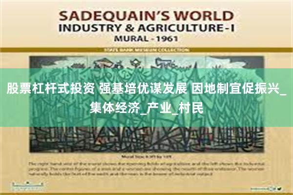 股票杠杆式投资 强基培优谋发展 因地制宜促振兴_集体经济_产业_村民
