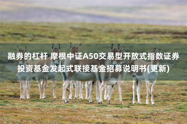 融券的杠杆 摩根中证A50交易型开放式指数证券投资基金发起式联接基金招募说明书(更新)