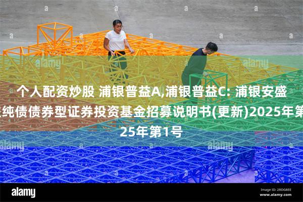 个人配资炒股 浦银普益A,浦银普益C: 浦银安盛普益纯债债券型证券投资基金招募说明书(更新)2025年第1号