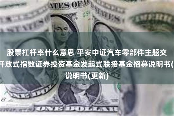 股票杠杆率什么意思 平安中证汽车零部件主题交易型开放式指数证券投资基金发起式联接基金招募说明书(更新)