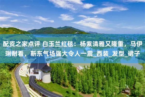 配资之家点评 白玉兰红毯：杨紫清雅又隆重，马伊琍耐看，靳东气场强大令人一震_西装_发型_裙子