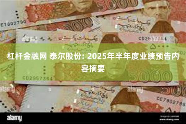 杠杆金融网 泰尔股份: 2025年半年度业绩预告内容摘要
