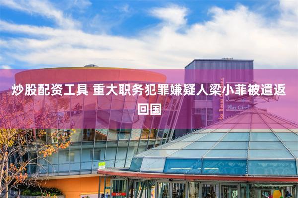 炒股配资工具 重大职务犯罪嫌疑人梁小菲被遣返回国